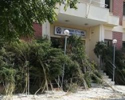 Πέλλα: 35χρονος καλλιεργούσε 288 δενδρύλλια κάνναβης