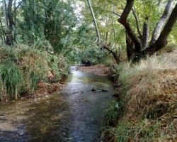 Εγκρίθηκε η δημοπράτηση για τον καθαρισμό των ρεμάτων της Π.Ε. Πέλλας