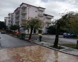 Ανανέωση άρρωστων δέντρων στον Δήμο Έδεσσας