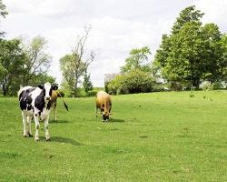 Ανάρτηση Καταστάσεων Πληρωμής της Δράσης 1.2  Βιολογική Κτηνοτροφία