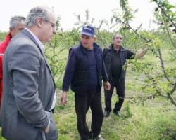 Γ. Σηφάκης από τις χαλαζόπληκτες περιοχές: “Θα προσπαθήσουμε για την χρηματοδότηση των πληγέντων μέχρι να πάρουν τις αποζημιώσεις ΕΛΓΑ”