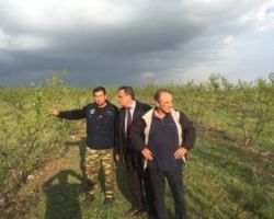 Ενημέρωση του Θ.Θεοδωρίδη για τις Χαλαζοπτώσεις στο Δήμο Πέλλας