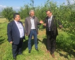 Επιστολή στον ΕΛΓΑ για την απουσία αντιχαλαζικών μέτρων προστασίας στην Πέλλα έστειλε ο Θ.Θεοδωρίδης