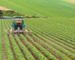 Συμβολαιακή γεωργία: Παρατείνεται η προθεσμία υποβολής συμβάσεων