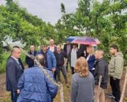 Τζάκρη: Ζήτησε από τον Υπουργό Αγροτικής Ανάπτυξης την απόλυτη και άμεση αποκατάσταση του αγροτικού εισοδήματος που χάθηκε λόγω των τεράστιων καταστροφών