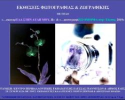Κέντρο περιβαλλοντικής εκπ/σης Έδεσσας Γιαννιτσών & Δήμος Έδεσσας: Εκθέσεις φωτογραφίας και ζωγραφικής