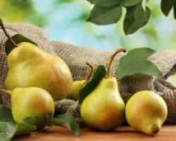 Ενισχύονται με ενισχύσεις de minimis οι παραγωγοί αχλαδιών της ποικιλίας «ΚΡΥΣΤΑΛΙΑ» σε ολόκληρη τη χώρα