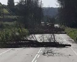 Προβλήματα από τους ισχυρούς ανέμους στην Κρήτη (φωτογραφίες)