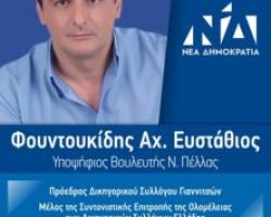 Αύριο Συνάντηση με θέμα “συζήτηση για την Πέλλα”, με τον Στάθη Φουντουκίδη