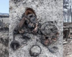 Ευρήματα εμπρησμού στη φωτιά στην Εύβοια: Εντόπισαν στουπιά, μπιτόνια, εύφλεκτο υγρό και γκαζάκια