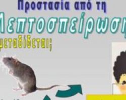 Οδηγίες για την προστασία από την Λεπτοσπείρωση δίνει η Δ/νση Δημόσιας Υγείας & Κοιν. Μέριμνας Π.Ε. Πέλλας