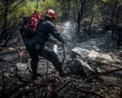 Φωτιά στη Νέα Μάκρη στις 2:17 τη νύχτα -Εμπρησμό δείχνουν όλα τα στοιχεία