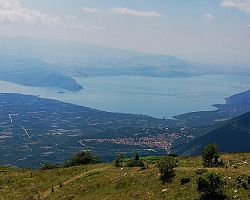 Βεγορίτιδα