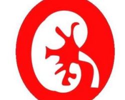Νέο διοικητικό συμβούλιο του συλλόγου Νεφροπαθών Ν.Πέλλας