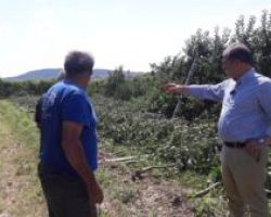 Σταμενίτης: Πρότεινε την αναστολή καταβολής των εισφορών προς τον ΕΛΓΑ και συμψηφισμό τυχόν οφειλών για τους παραγωγούς του Νομού Πέλλας.