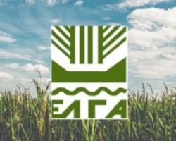 Αύριο πληρώνει ο ΕΛΓΑ 71 εκατ. € για τον «παγετό Άνοιξη ‘21»