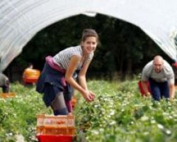 Διατηρείται το Επίδομα Ανεργίας για εργασίες γης.  Η Κυβέρνηση νομοθετεί στο πνεύμα της Ερώτησης 11 Βουλευτών της Νέας Δημοκρατίας.