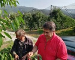 Νέες καταστροφές σε παραγωγές και φυτικό κεφάλαιο στην Πέλλα από ακραία καιρικά φαινόμενα Αυτοψίες του Αντιπεριφερειάρχη Πέλλας Δάνη Τζαμτζή και επικοινωνία με την Προϊσταμένη του τοπικού ΕΛΓΑ Μαρία Παπά
