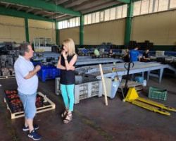 Τζάκρη: Είναι επιτακτική ανάγκη φέτος να αυξηθεί η τιμή στο συμπύρηνο ροδάκινο λόγω της μειωμένης ποσότητας και της αυξημένης ζήτησης