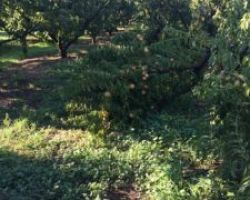 Εκτεταμένες καταστροφές από τη χθεσινή Θεομηνία
