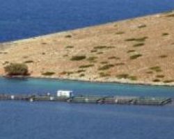 Επίσκεψη του ΥφΑΑΤ, Γιάννη Οικονόμου στην Ειδική Υπηρεσία Διαχείρισης του Επιχειρησιακού Προγράμματος Αλιείας & Θάλασσας (ΕΠΑλΘ)