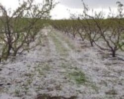 Επαφές ΥπΑΑΤ, Σπήλιου Λιβανού, με Περιφερειάρχες και ΕΛΓΑ, λόγω της σφοδρής κακοκαιρίας που πλήττει τη χώρα