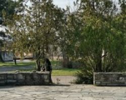 Δράσεις Αντιδημαρχίας Καθαριότητας και Πρασίνου του Δήμου Αλμωπίας