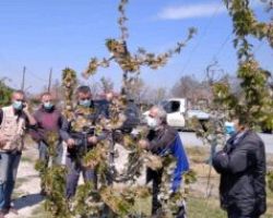 Ο Γιώργος Καρασμανης κοντά στους πληγέντες παραγωγούς