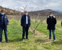 Συνεχίζει την περιοδεία του στις πληγείσες καλλιέργειες ο Λ. Βασιλειάδης
