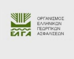 Αναγγελία ζημιάς για τον παγετό