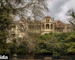Aρχισαν οι δωρεές για την αναδάσωση του Τατοΐου