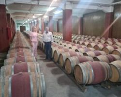 Συνεργασία Θεοδώρας Τζάκρη με τον Πρόεδρο του Οινοποιητικού Συνεταιρισμού VAENI Γιώργο Φουντούλη
