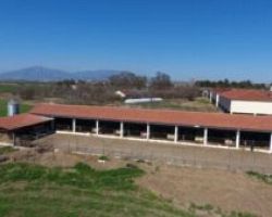 Συνάντηση Καρασμάνη με τον πρόεδρο του ΕΛΓΟ ΔΗΜΗΤΡΑγια το Ινστιτούτο Ζωικής Παραγωγής Παραλίμνης και για την ίδρυση Δημόσιων Αγροτικών ΙΕΚ σε Κρύα Βρύση και Γιαννιτσά.