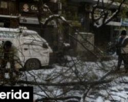 ΥΠΕΝ για κακοκαιρία Ελπίδα: 11 συνεργεία υλοτόμων για την απόληψη πεσμένων δένδρων