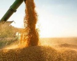 Ουκρανία: Η Ευρώπη πρέπει να αυξήσει την παραγωγή σιτηρών για να αποφύγει μια παγκόσμια επισιτιστική κρίση