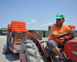 Τα επίμαχα σημεία της ρύθμισης για τη μείωση φορολογίας 50% στους αγρότες που δρουν σε συλλογικά σχήματα
