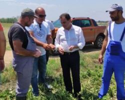 Δίπλα στους αγρότες που επλήγησαν από τη χθεσινή θεομηνία στην Κεντρική Μακεδονία, ο ΥπΑΑΤ Γ. Γεωργαντάς