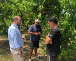 Νέες ενέργειες Λάκη Βασιλειάδη αναφορικά με τις ζημιές από τη βροχόπτωση