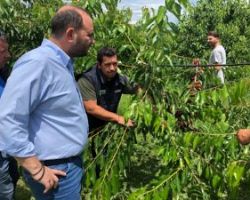Επικοινωνία Λάκη Βασιλειάδη με ΕΛΓΑ για νέες ζημιές