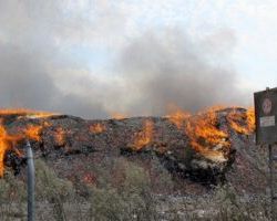 Γρεβενά: Υπό έλεγχο η φωτιά στη Δεσκάτη, κατέστρεψε πευκοδάσος