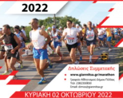 9ος ΗΜΙΜΑΡΑΘΩΝΙΟΣ ΠΕΛΛΑΣ – 21.097,5μ