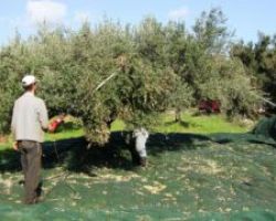 ΓΙΩΡΓΟΣ ΚΑΡΑΣΜΑΝΗΣ :  ΔΙΝΕΤΑΙ ΛΥΣΗ ΣΤΗ ΜΕΤΑΚΛΗΣΗ ΓΙΑ ΑΠΑΣΧΟΛΗΣΗ ΠΟΛΙΤΩΝ  ΤΡΙΤΩΝ ΧΩΡΩΝ ΣΤΗΝ ΑΓΡΟΤΙΚΗ ΟΙΚΟΝΟΜΙΑ