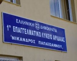 Διαδικτυακή ενημέρωση για την Επαγγελματική Εκπαίδευση από το 1ο Ημερήσιο ΕΠΑΛ Αριδαίας Ν. Παπαϊωάννου