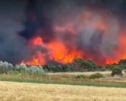 Φωτιά στην Αλεξανδρούπολη: Νέο μήνυμα εκκένωσης για δύο οικισμούς