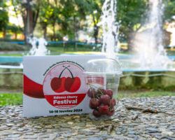 Ο Κόσμος αγκάλιασε την ιδέα του … EDESSA CHERRY FESTIVAL