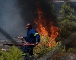 Φωτιά στην Αττική: Με εντολή Χαρδαλιά συγκροτούνται άμεσα Επιτροπές Αρωγής για την αποζημίωση επιχειρήσεων