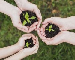Η ΨΗΦΙΟΠΟΙΗΣΗ ΤΗΣ ΓΕΩΡΓΙΑΣ ΤΗΣ Ε.Ε. ΣΕ ΜΙΑ ΙΣΤΟΣΕΛΙΔΑ