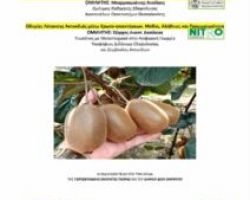 Η εδαφολογική και φυλλοδιαγνωστική ανάλυση ως βάση της ορθολογικής λίπανσης του ακτινιδίου