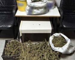 Από αστυνομικούς του Τμήματος Δίωξης και Εξιχνίασης Εγκλημάτων Πέλλας συνελήφθη ένα άτομο για παραβάσεις της νομοθεσίας για τα ναρκωτικά