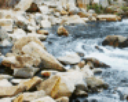 Γιορτάζουμε τη ζωή στην Έδεσσα